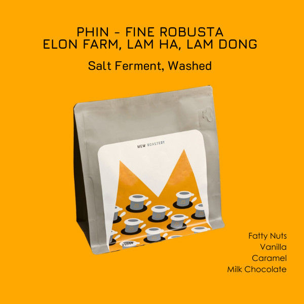 CÀ PHÊ PHA PHIN - Robusta, Honey Ferment