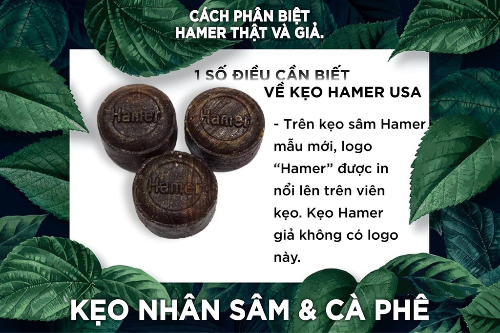Kẹo sâm Hamer Mỹ Mẫu Mới 3 viên