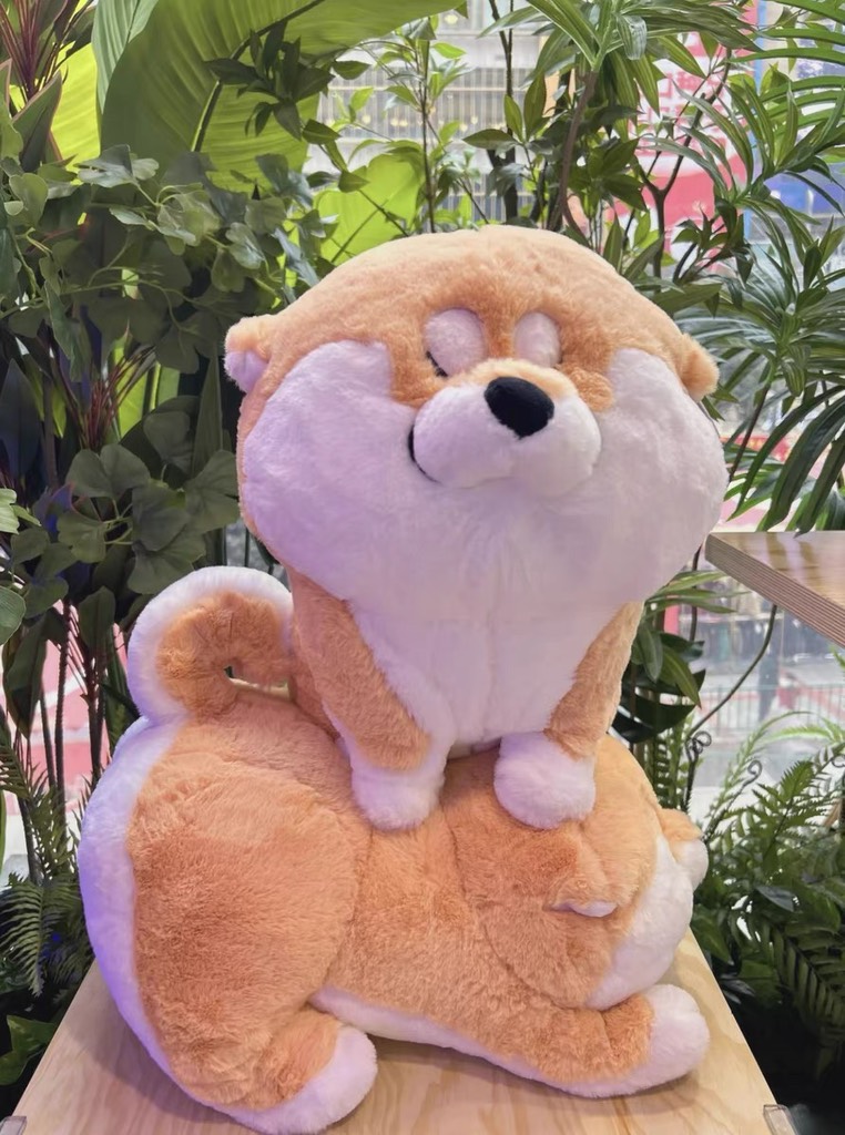 Gấu bông Shiba mừng rỡ
