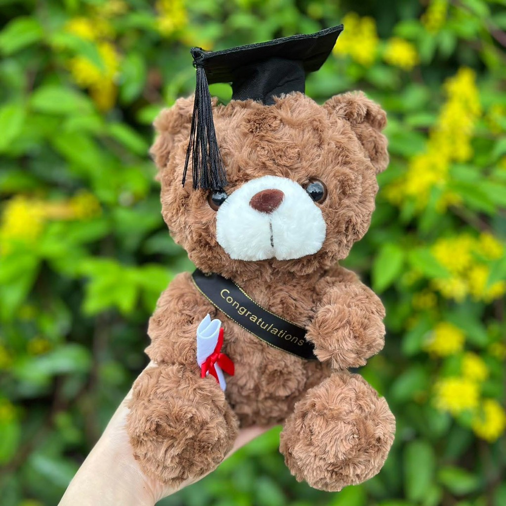 Gấu Teddy Lucky tốt nghiệp