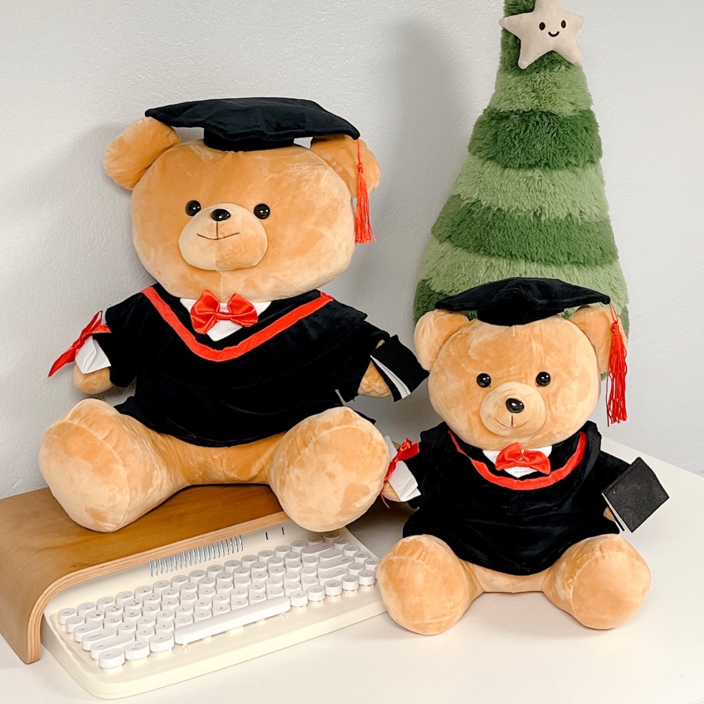 Gấu Teddy tốt nghiệp