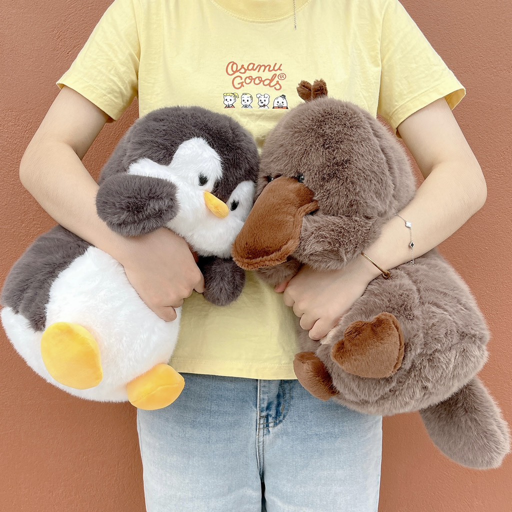 Hội thú Chubby bụ bẫm 40cm
