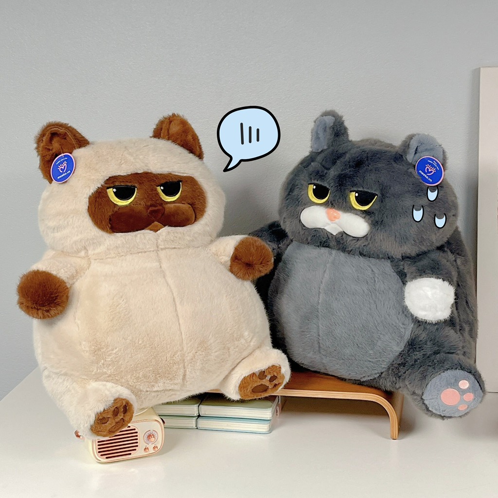 Mèo Miu Chan béo bụng bự