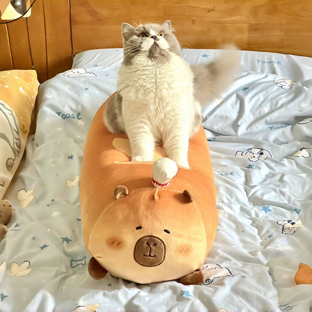 Gối ôm bánh mỳ Capybara 90cm