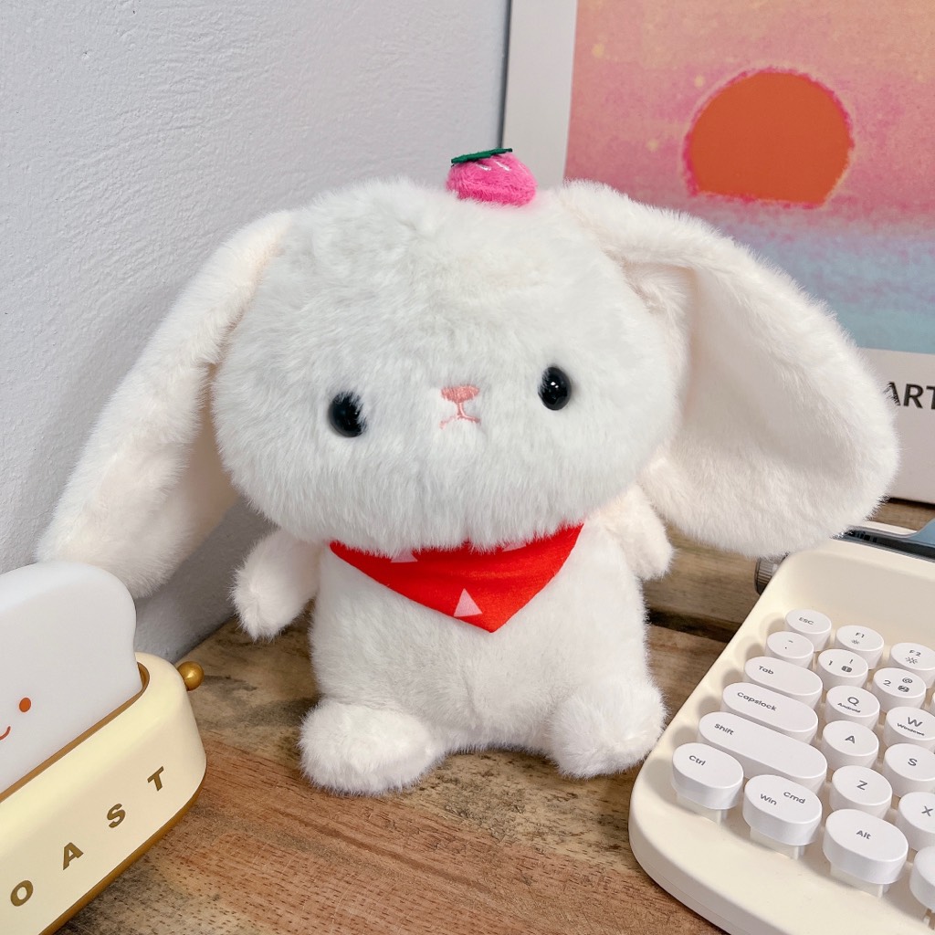 BST gấu gắp nhỏ