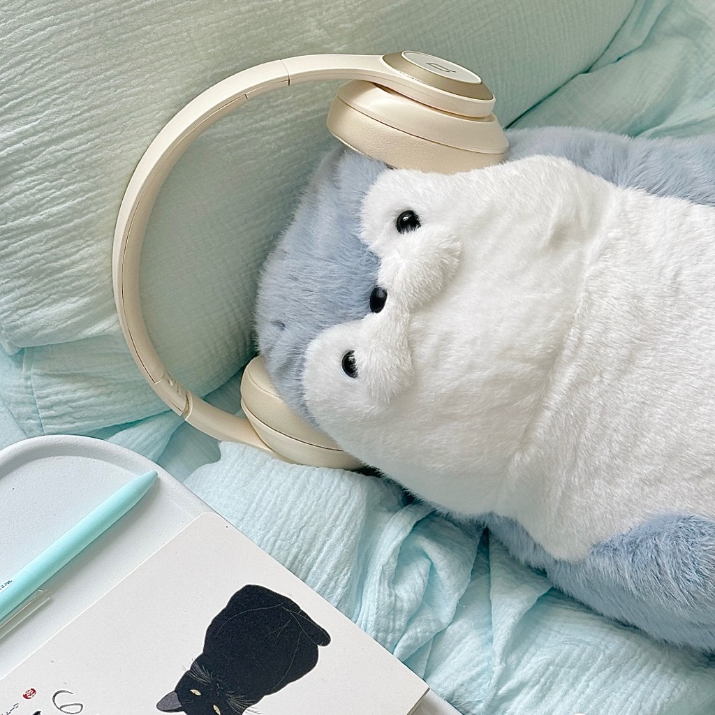 Hải cẩu bụng béo Habi