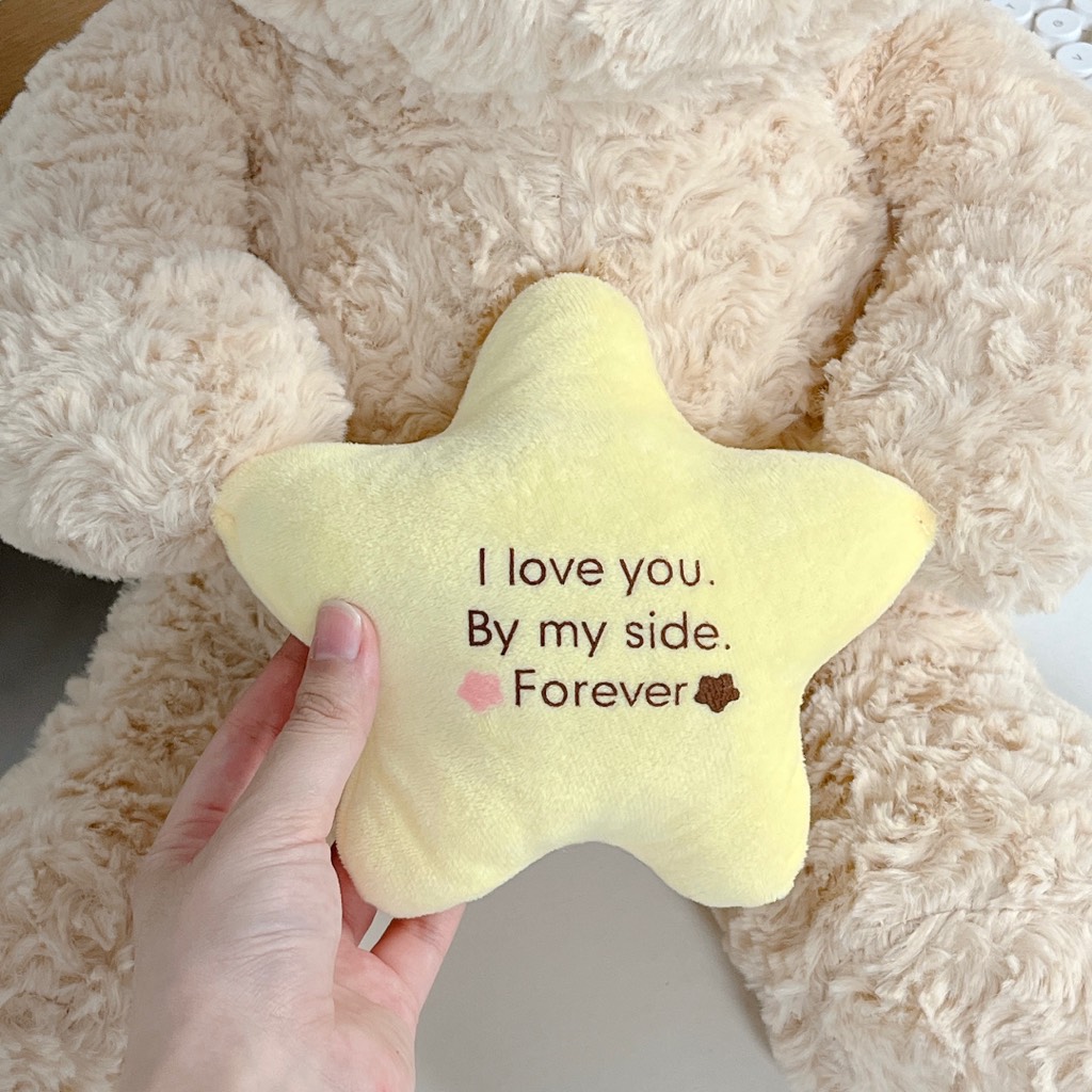 Gấu bông Teddy ôm sao 55cm