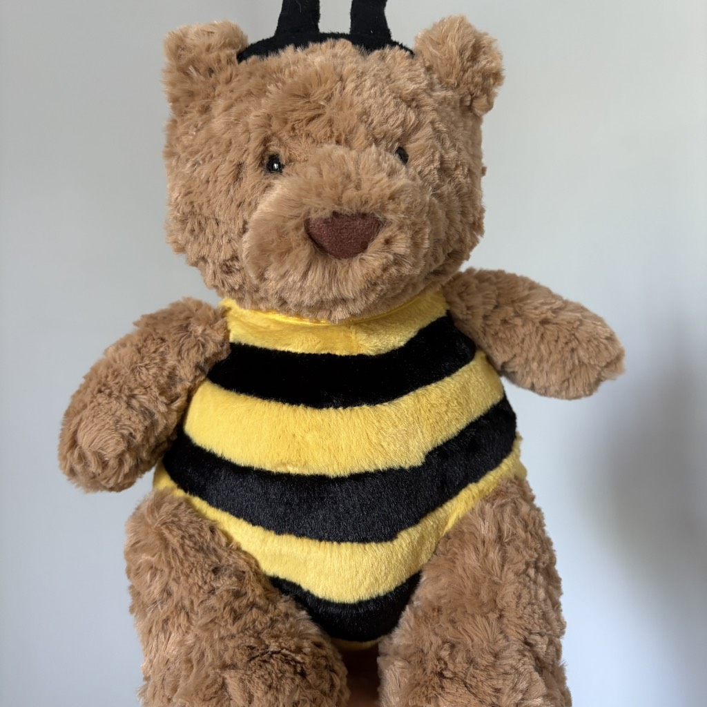 Gấu teddy ong nâu đậm 45cm