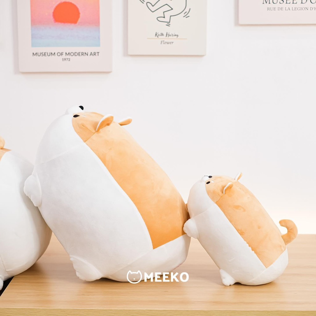 Gấu bông Corgi Dugi mập tròn