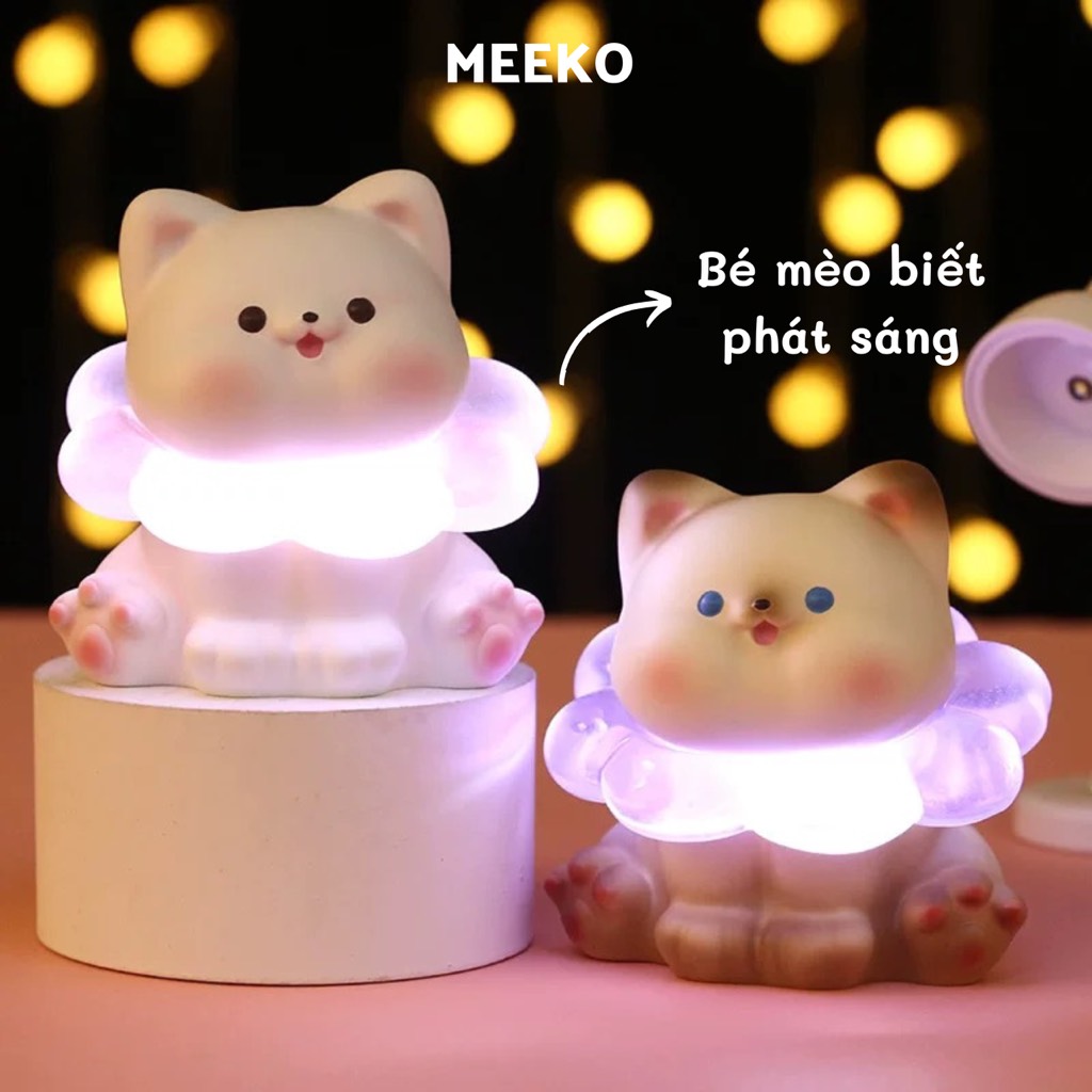 Bé mèo đèn lồng Bora cat