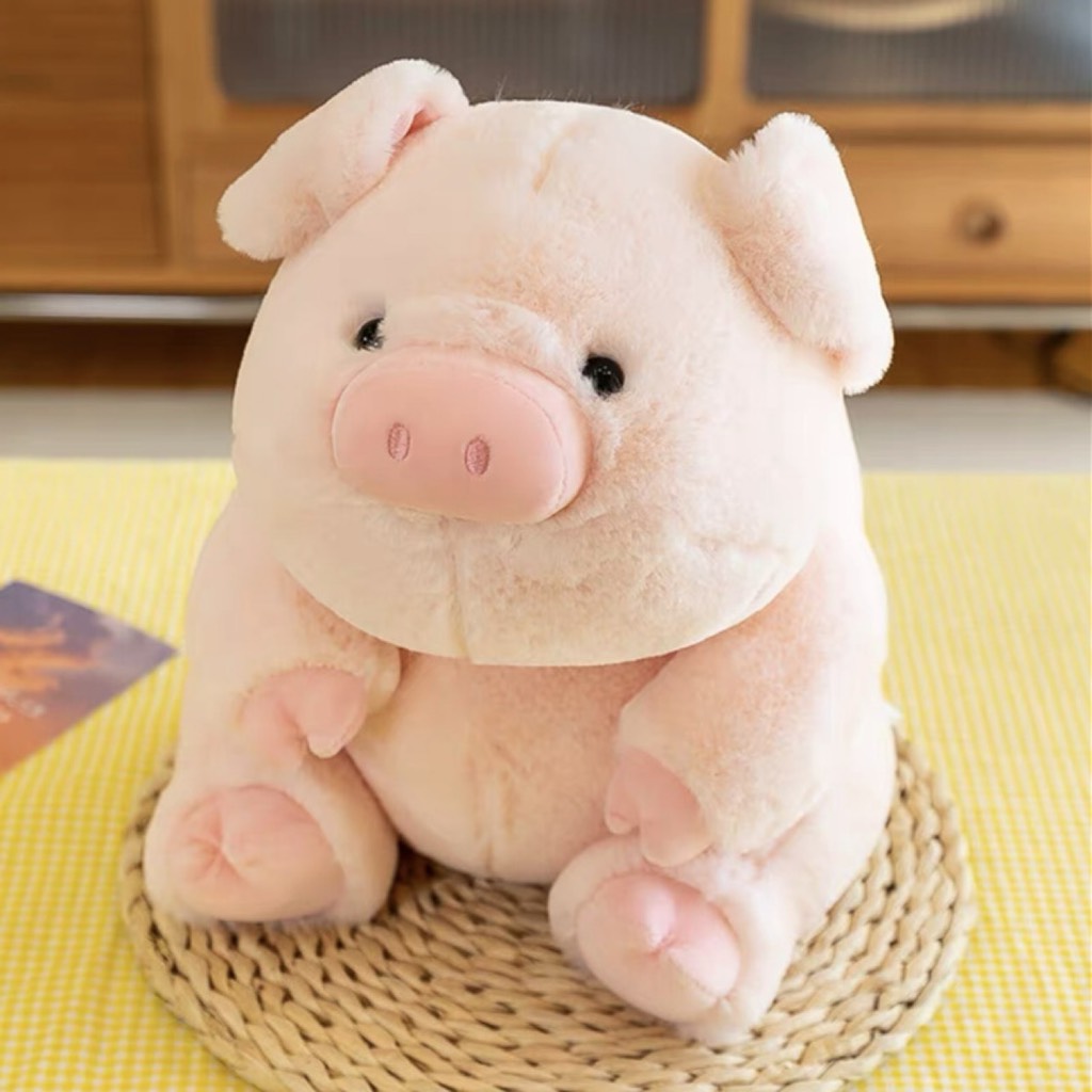 Heo bông ú nần Tatami Pig