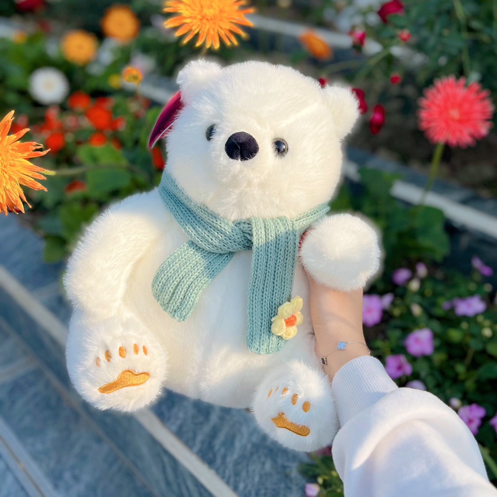 Gấu bắc cực quàng khăn xanh