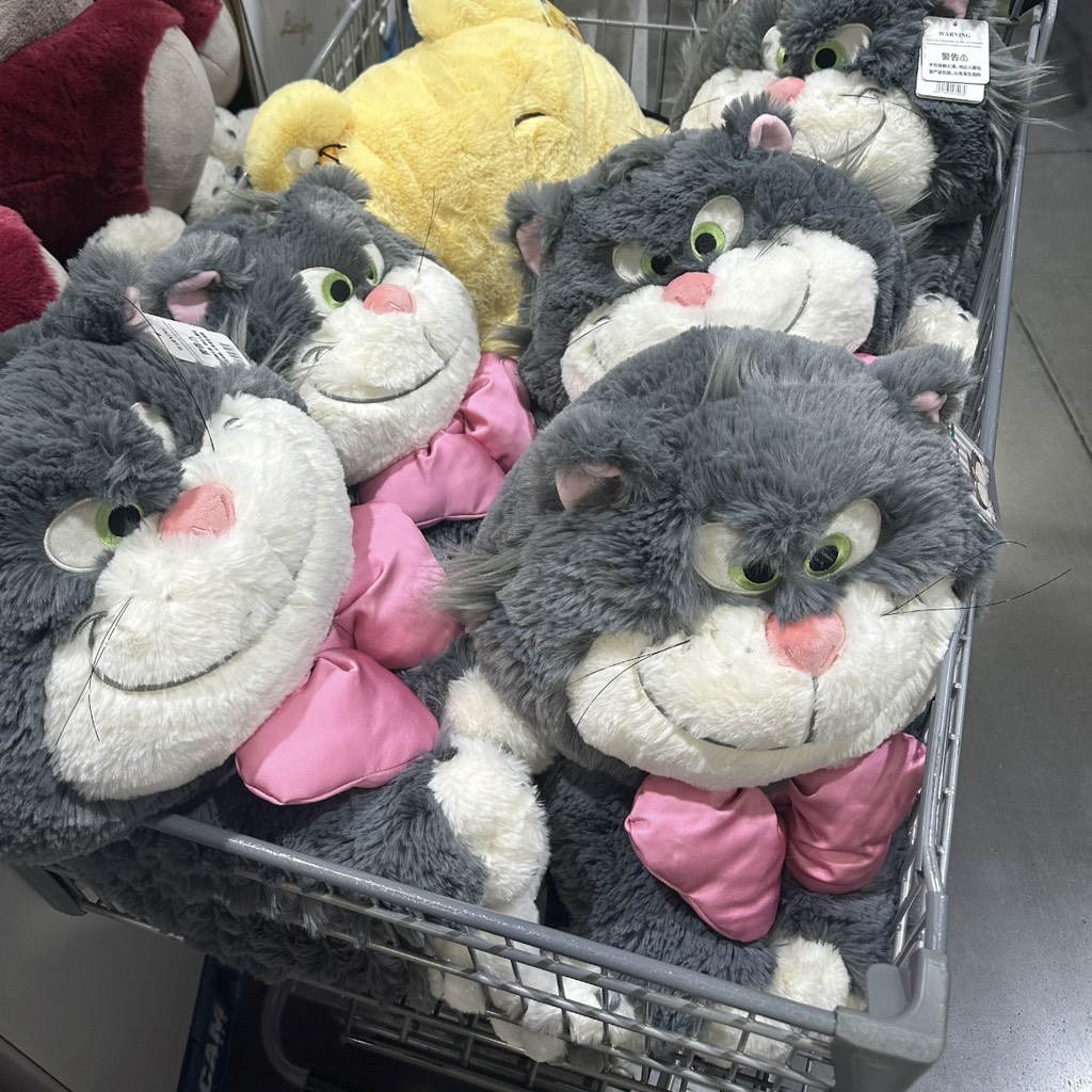 Mèo Lucifer nơ hồng