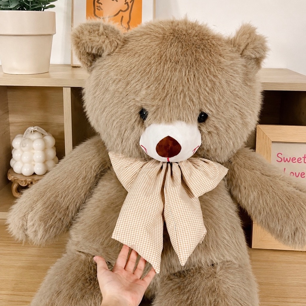Teddy nơ lông dài cao cấp 1m2