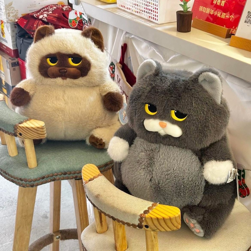 Mèo Miu Chan béo bụng bự