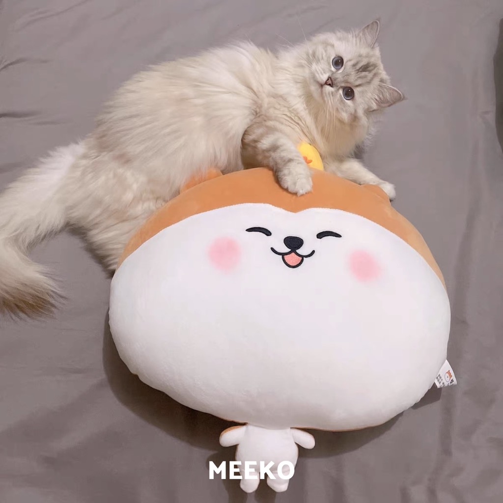 Gấu bông Shiba đầu to thân nhỏ