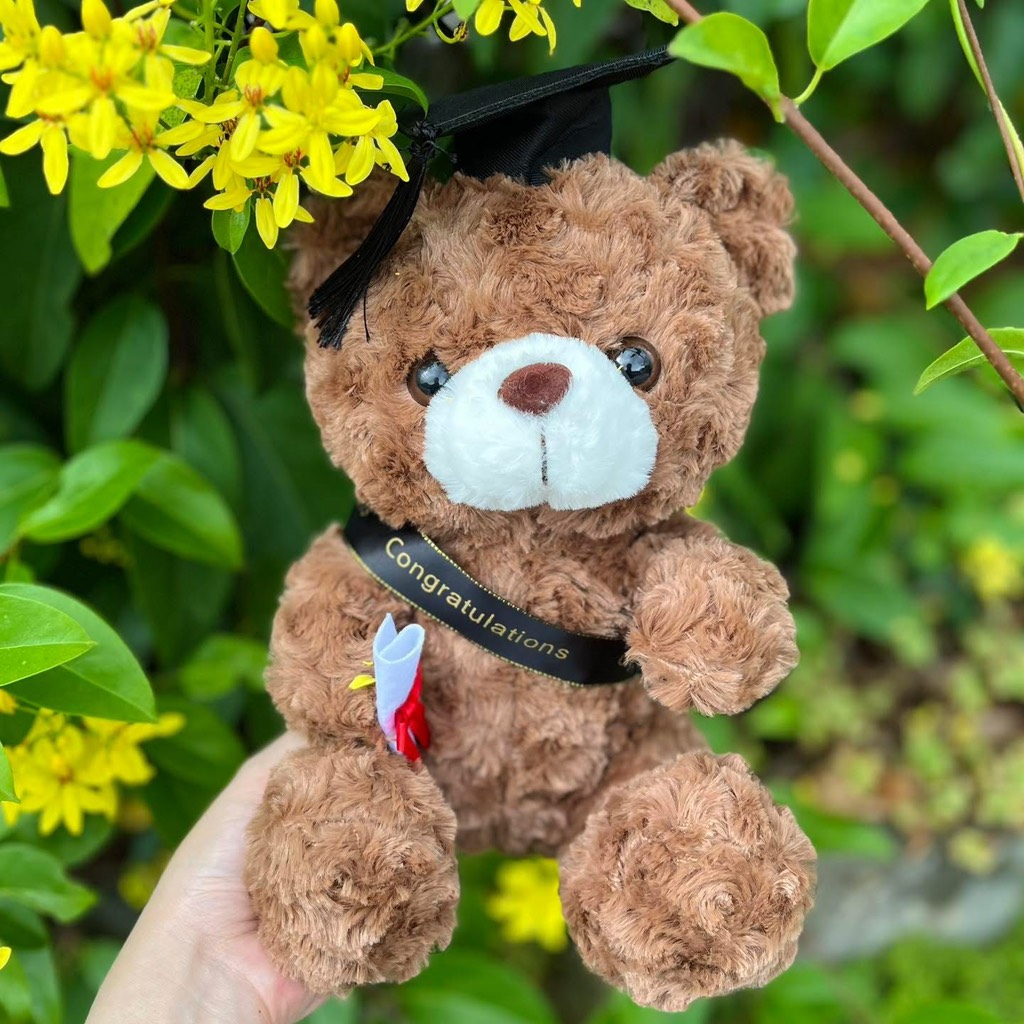 Gấu Teddy Lucky tốt nghiệp