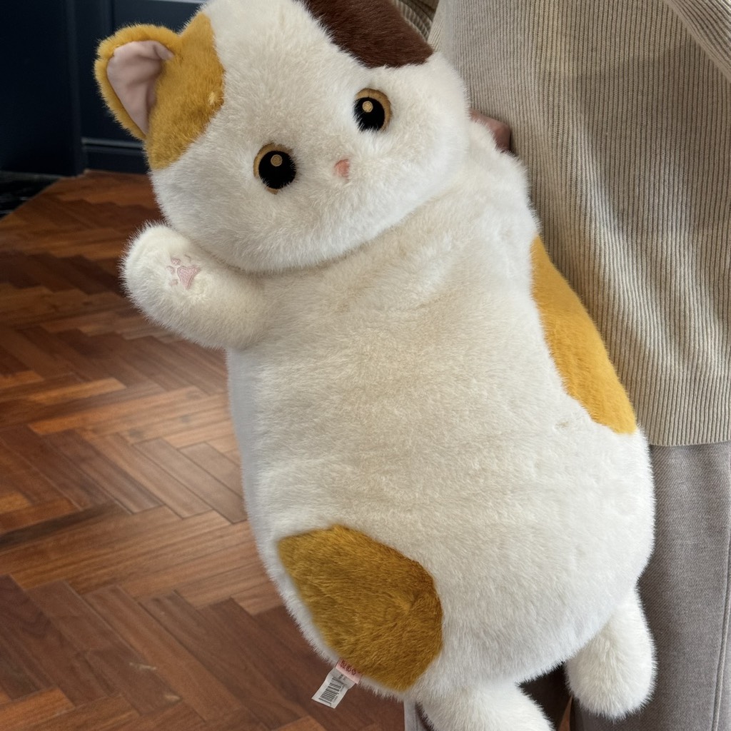 Gối ôm mèo nằm lười 65cm