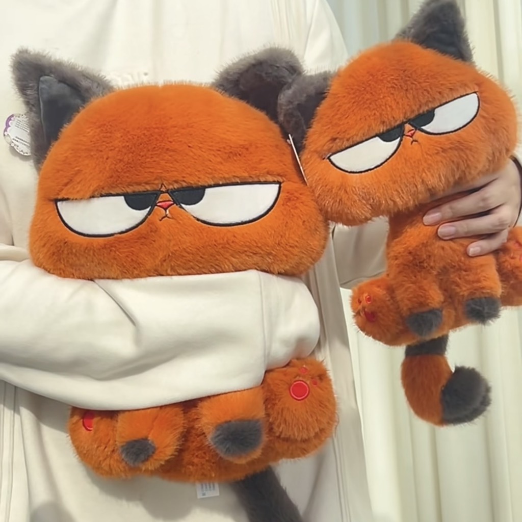 Mèo cam Meidikai