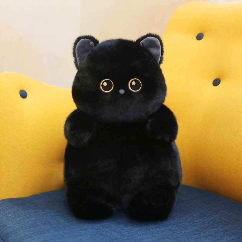 Hội thú Chubby bụ bẫm 40cm