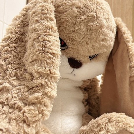 Gấu bông Thỏ bunny mặt quạo