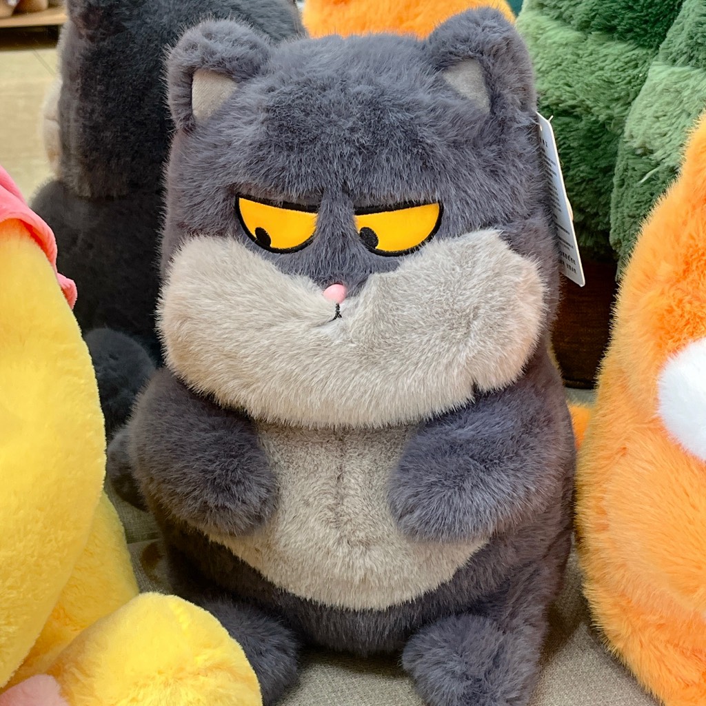 Gấu bông mèo béo chảnh choẹ
