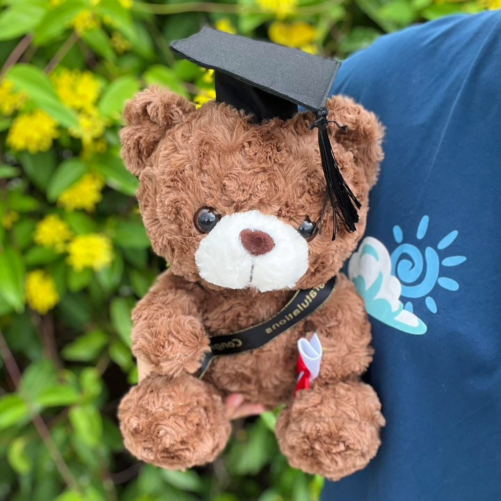 Gấu Teddy Lucky tốt nghiệp