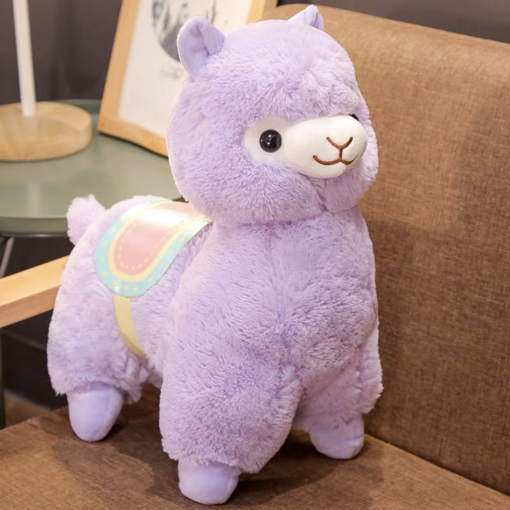 Lạc đà bông Alpaca cao cấp