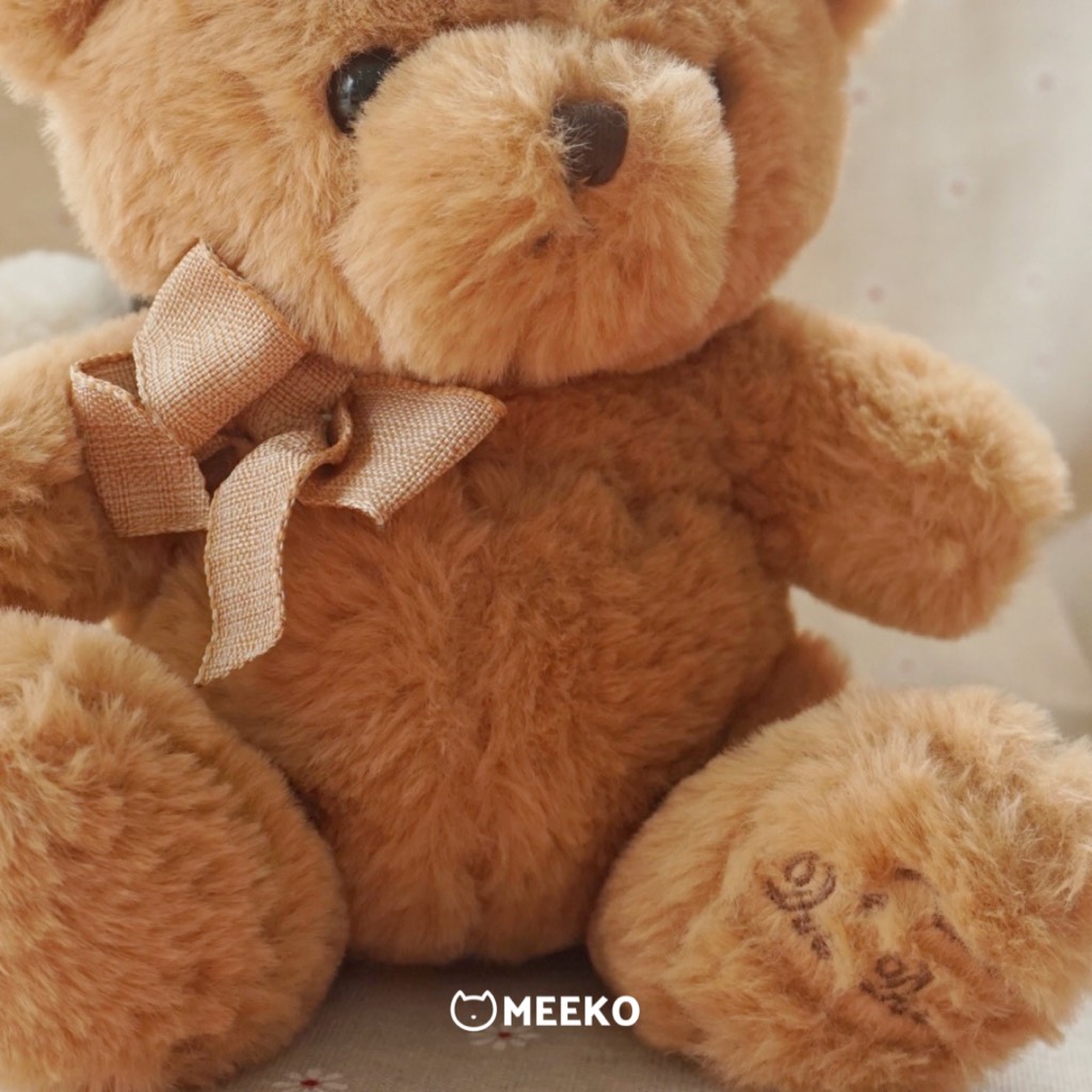 Gấu teddy đeo nơ Teddy Pupi