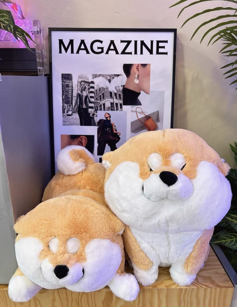 Gấu bông Shiba mừng rỡ