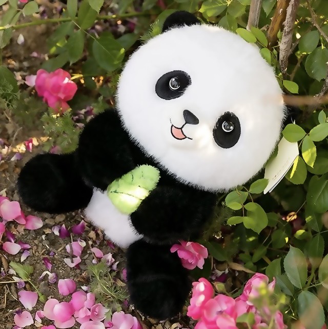 Hội gấu trúc Jooki