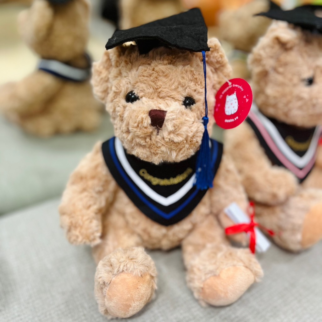 Gấu Teddy tốt nghiệp 30cm