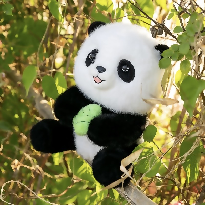 Hội gấu trúc Jooki