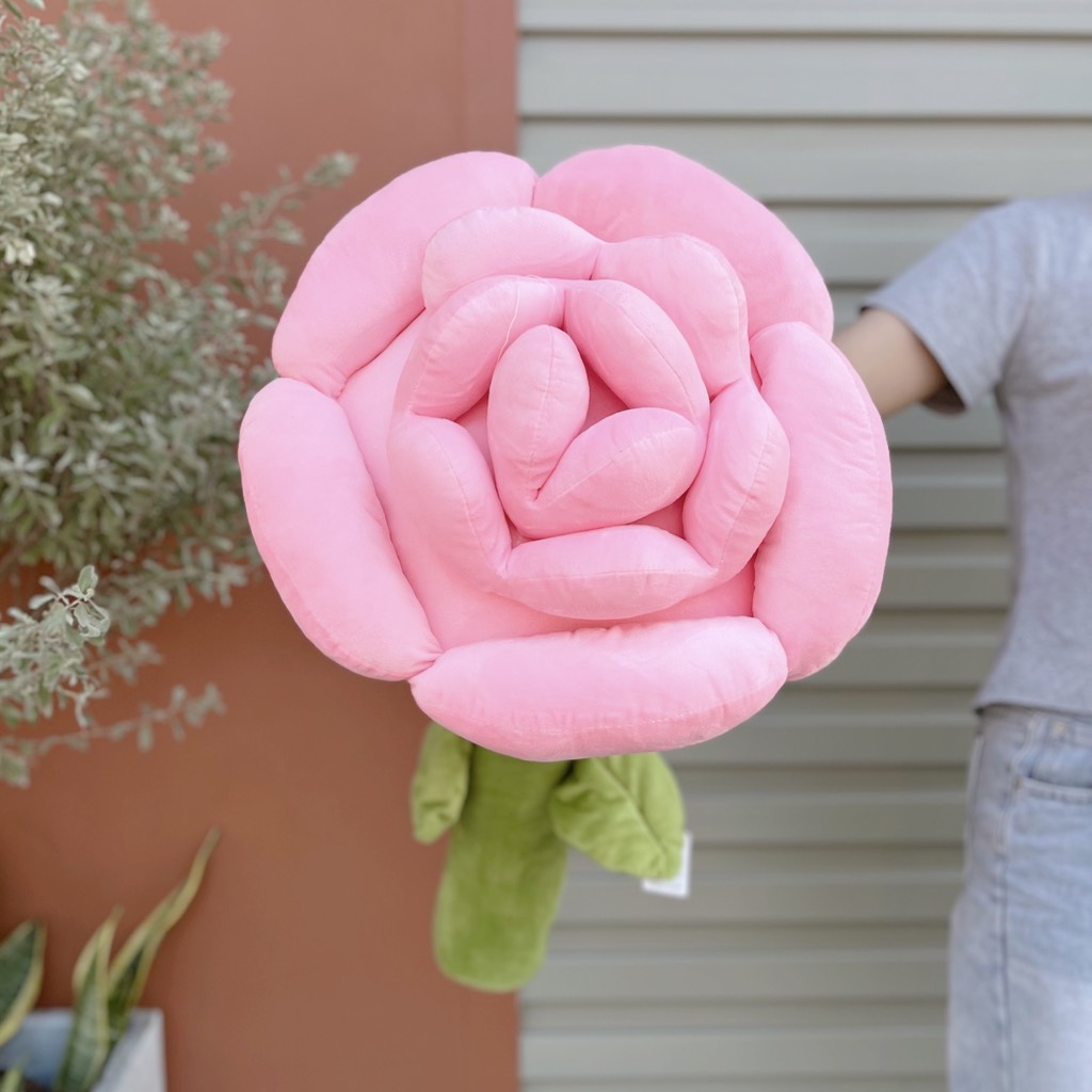 Hoa hồng bông Rosy