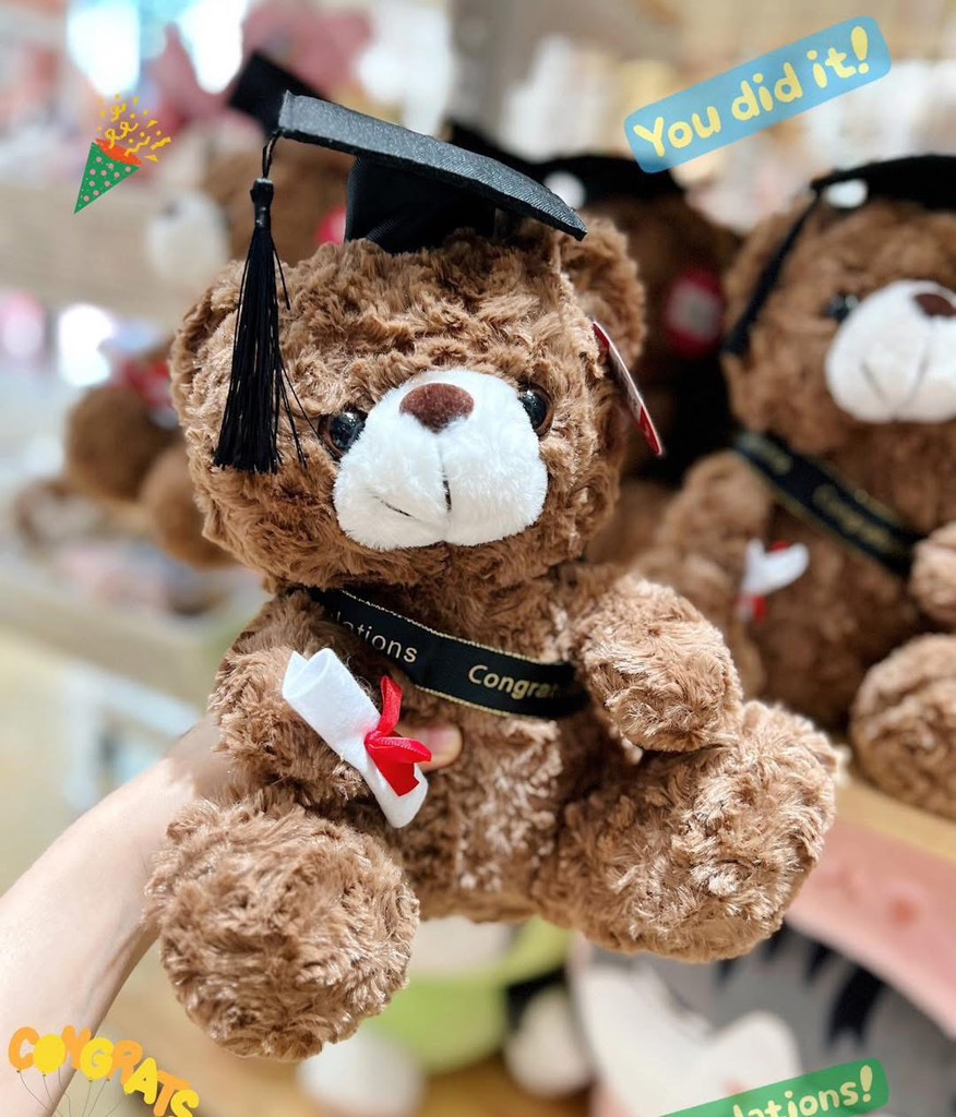 Gấu Teddy Lucky tốt nghiệp