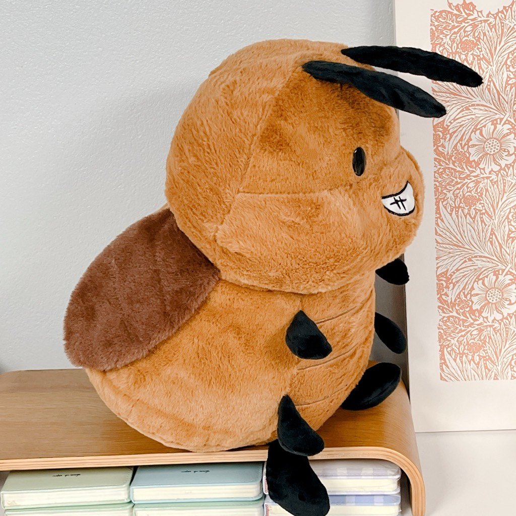 Gián cường tráng