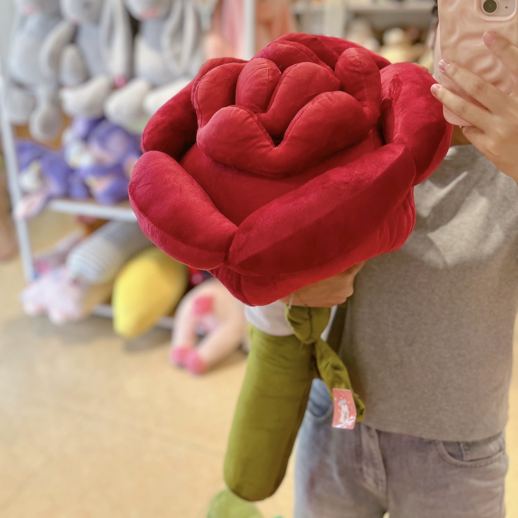 Hoa hồng bông Rosy