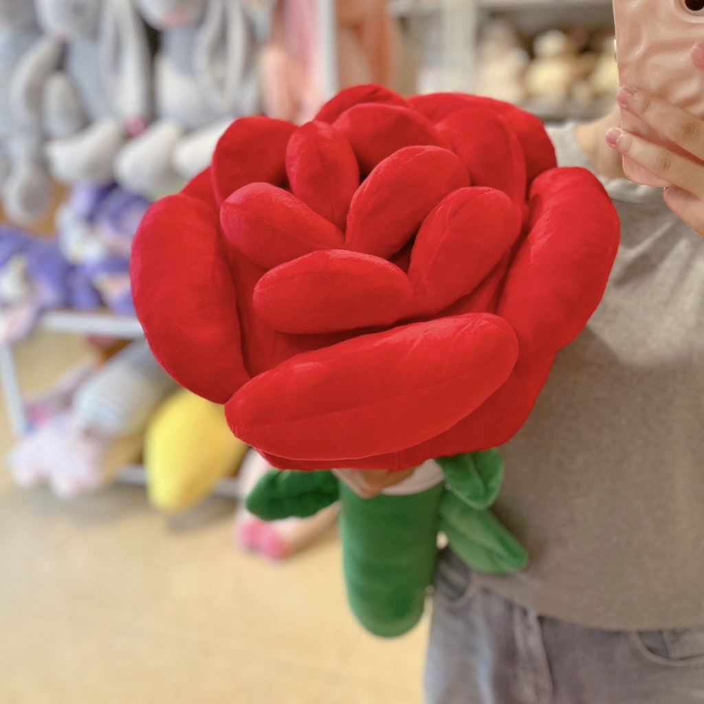 Hoa hồng bông Rosy