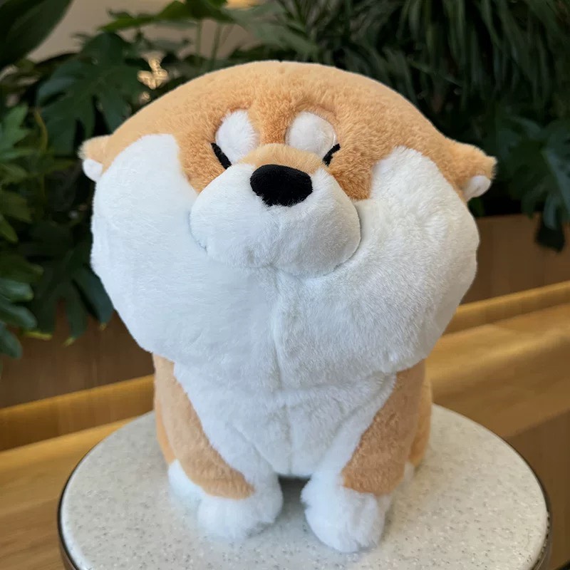 Gấu bông Shiba mừng rỡ