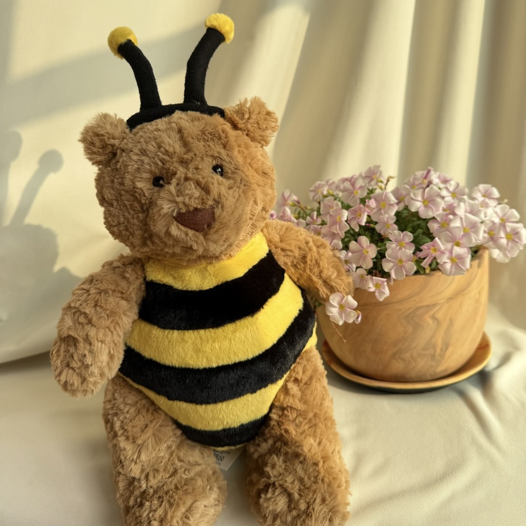 Gấu teddy ong nâu đậm 45cm