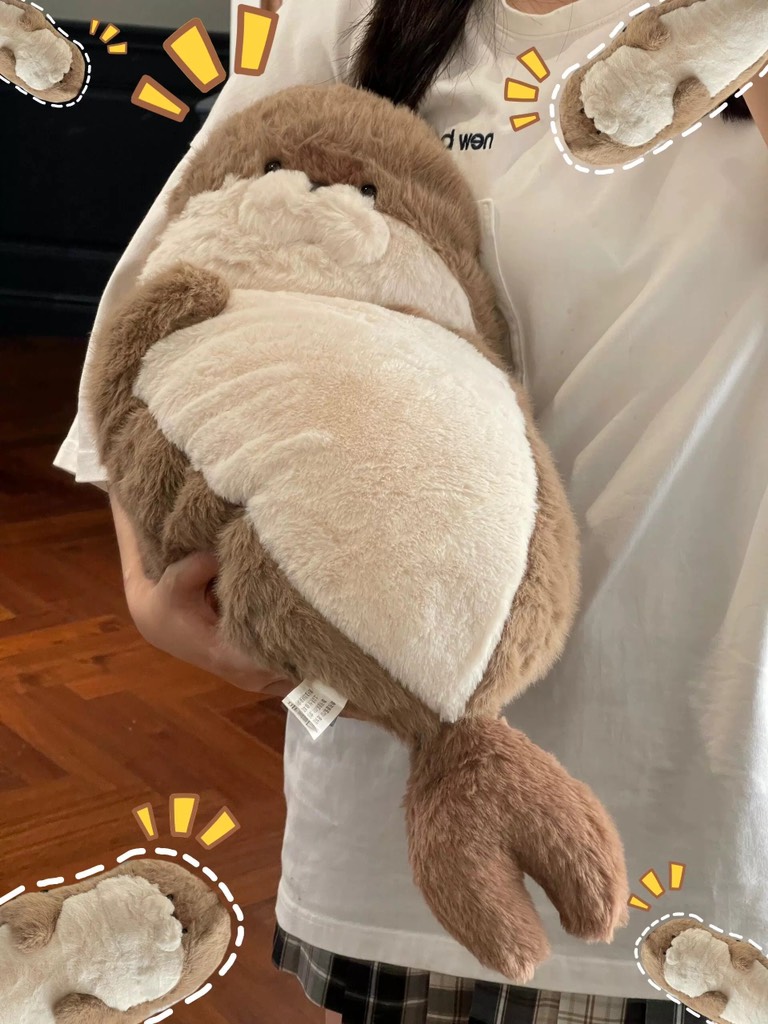 Hải cẩu bụng béo Habi