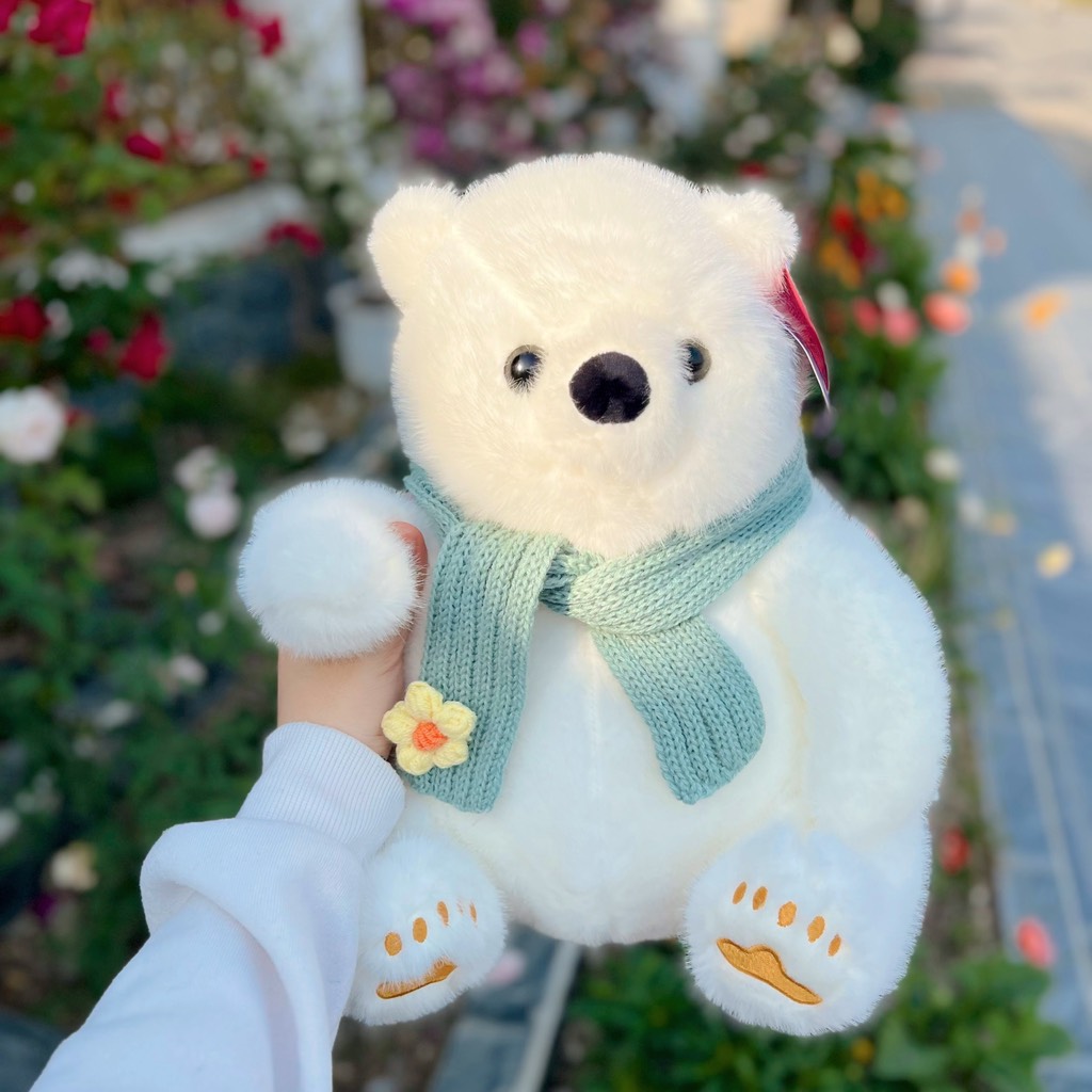 Gấu bắc cực quàng khăn xanh