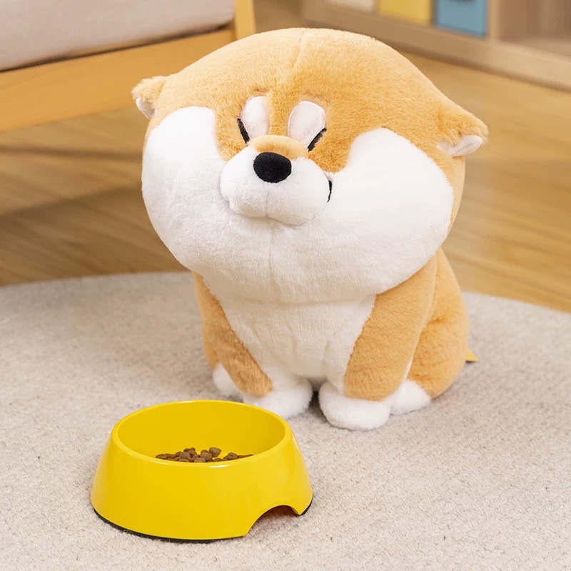 Gấu bông Shiba mừng rỡ