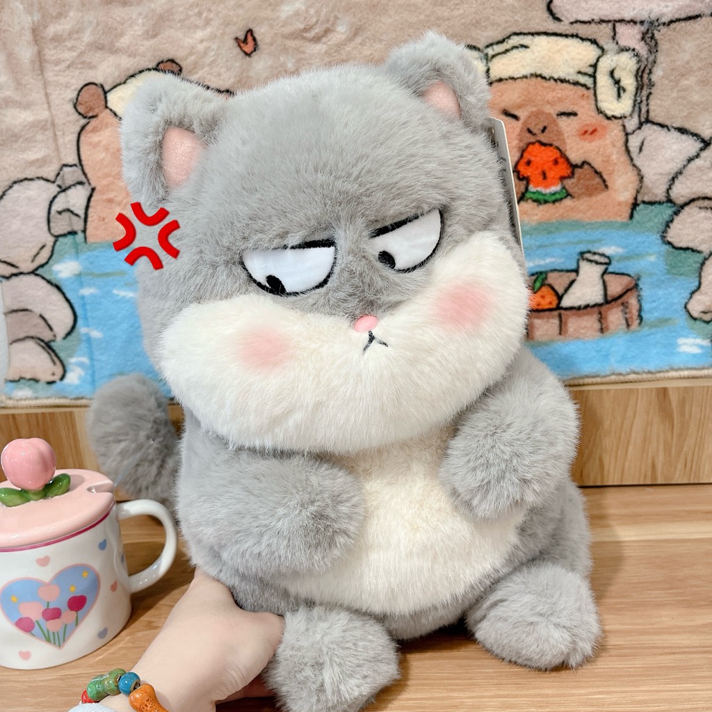 Gấu bông mèo lườm mắt liếc