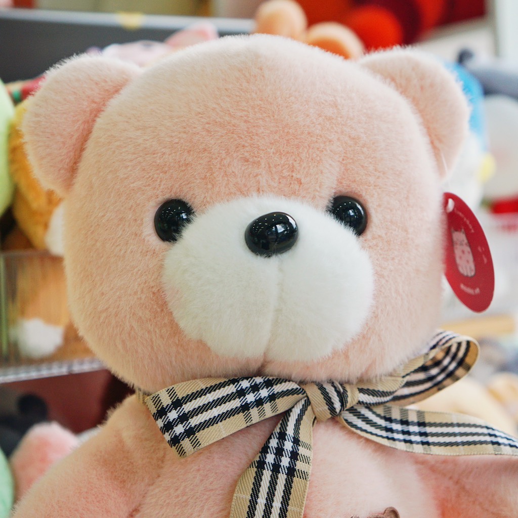 Gấu đeo nơ sang chảnh Remy Teddy