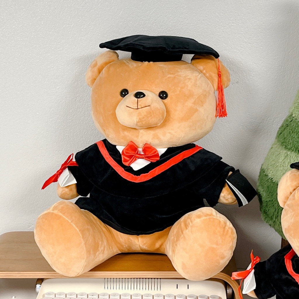 Gấu Teddy tốt nghiệp
