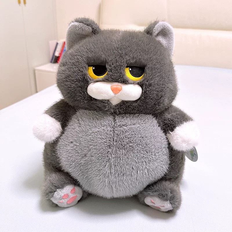 Mèo Miu Chan bụng bự