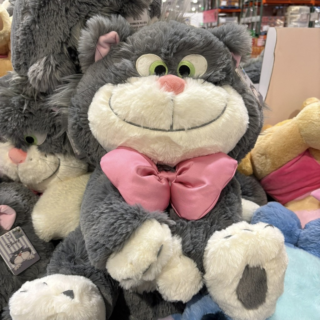 Mèo Lucifer nơ hồng