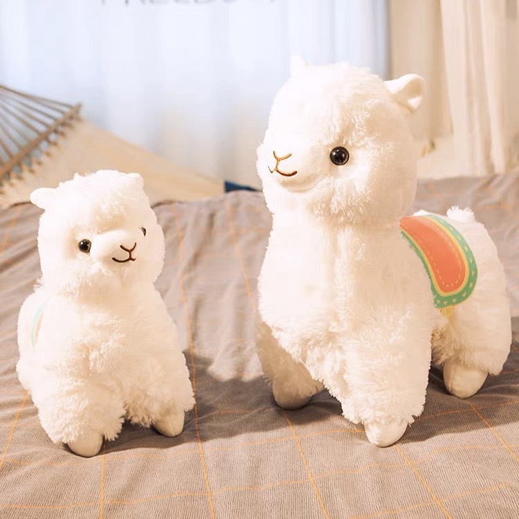 Lạc đà bông Alpaca cao cấp