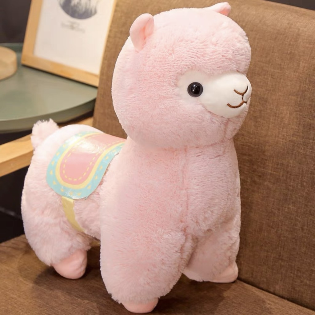 Lạc đà bông Alpaca cao cấp